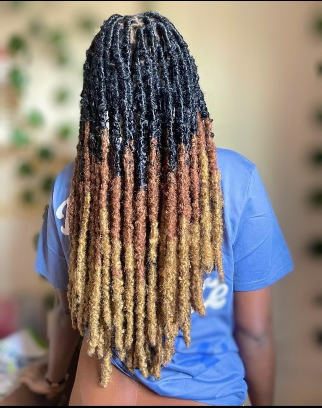 3-Tone Butterfly Locs